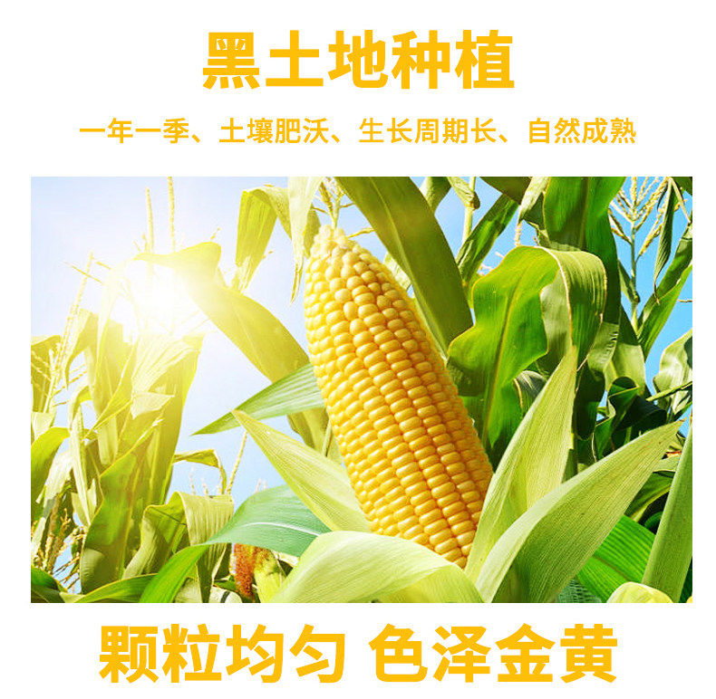 安享好物 安享S级玉米面粉-野三坡有机玉米面粉 企标 