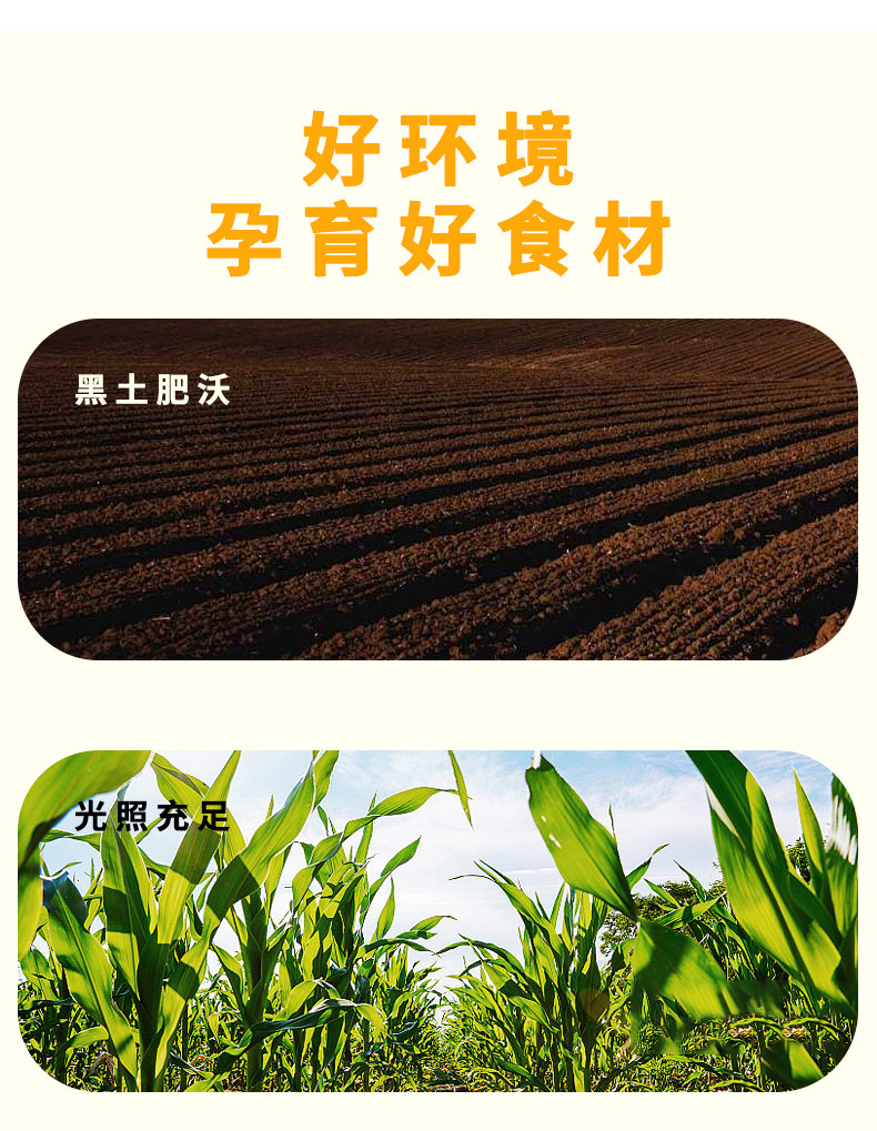 安享好物 安享S级玉米面粉-野三坡有机玉米面粉 企标 