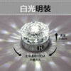 10 cm-5W white light-Mingguang