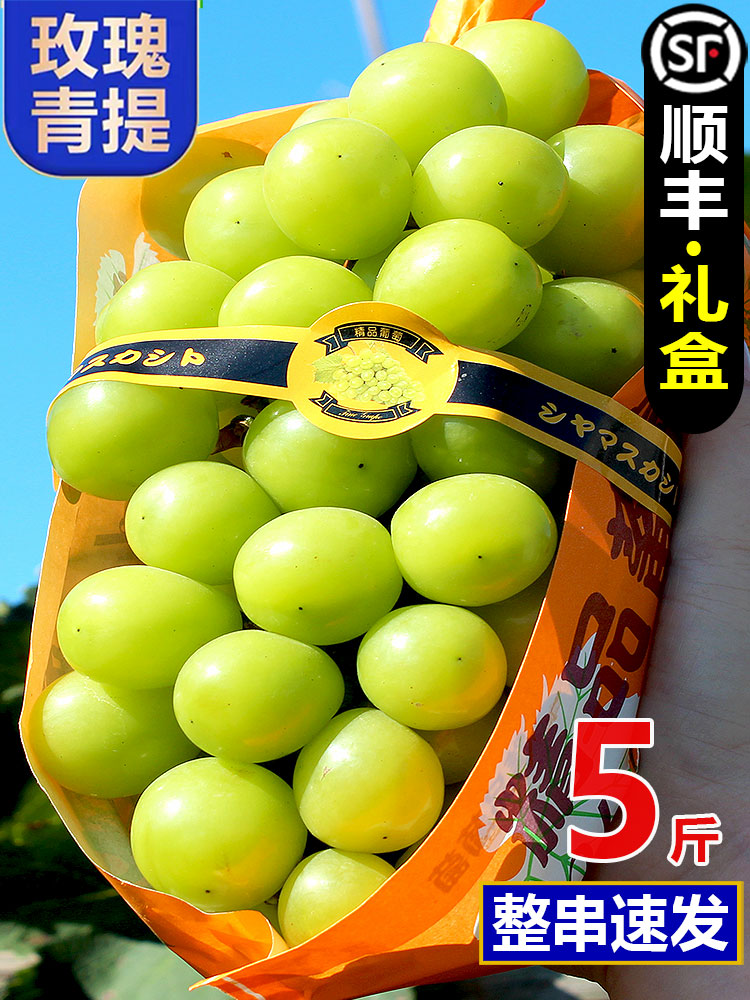阳光玫瑰葡萄5斤晴王葡萄新鲜无籽葡萄香印青提水果新鲜当季整箱