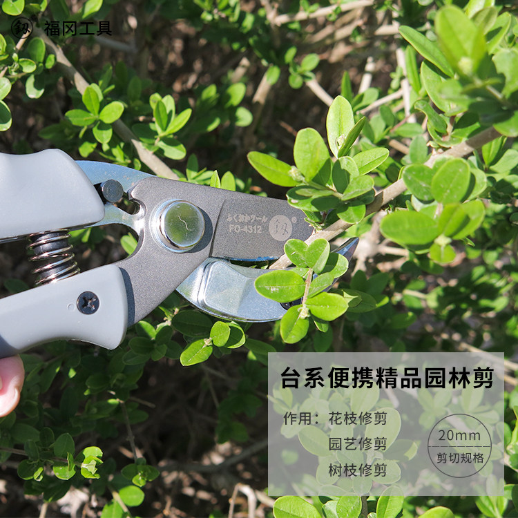 Fukuoka garden shears German Japan imported horticultural scissors home with fruit tree pruning shears flower scissors