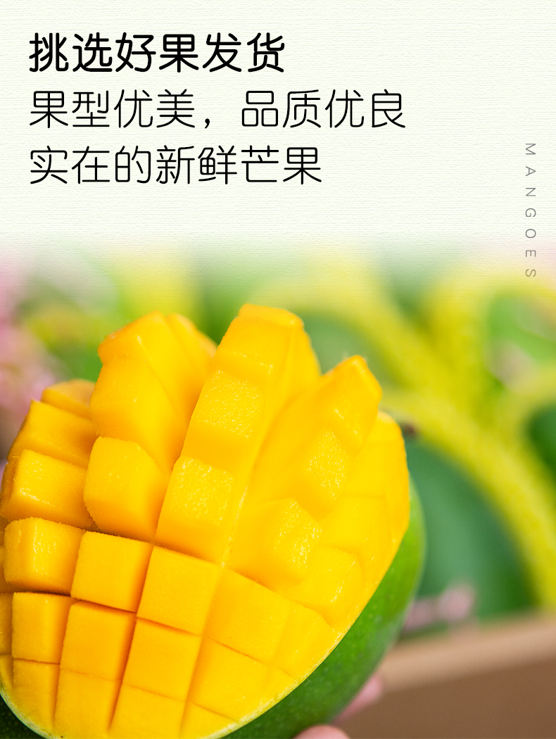 我们买过 超甜又便宜的巨无霸越南大青芒 净重8斤 单果500-1000g 图18