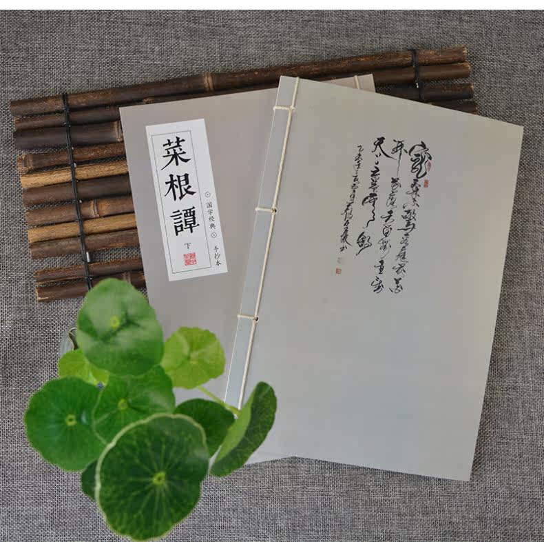 Flower野店 菜根譚全集字帖菜根潭成人練字帖國學經典洪應明著 成人練字帖 字帖 練字書 Yahoo奇摩拍賣