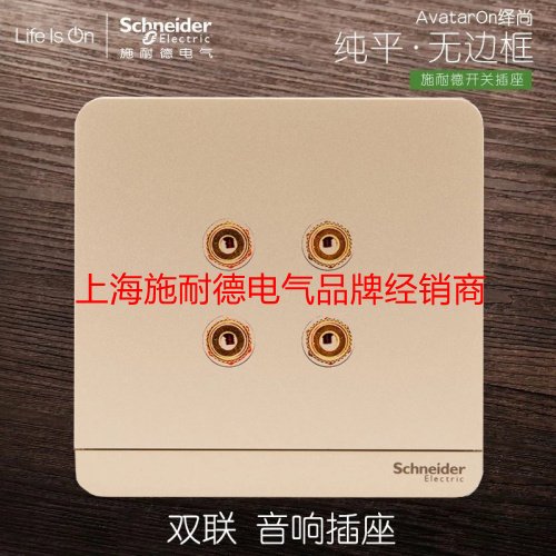 Schneider switch socket double four-hole four-head audio socket panel speaker weak current panel Yi Shangjin
