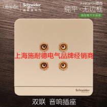 Schneider switch socket double four-hole four-head audio socket panel speaker weak current panel