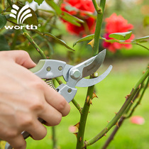 Worschworth gardening home pruning shears Orchard branches pruning garden rose professional pruning scissors