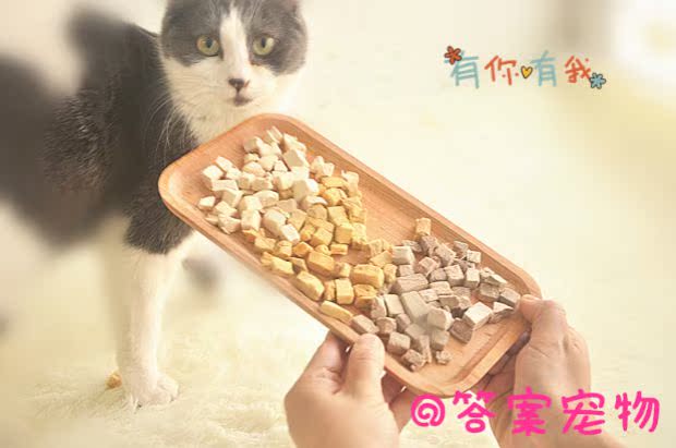Mua bốn tặng một Bạn có thể thưởng thức món ăn nhẹ tuyệt vời cho mèo cá hồi thịt bò tươi đông lạnh thịt khô nhỏ vào một bữa ăn nhẹ cho mèo 40g - Đồ ăn nhẹ cho mèo hạt cateye