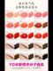 Yd Water-Based Pigment for Lip Tattoo, High Saturation, High Color Rendering, Easy to Apply for Eyebrows, Eyes, and Lips, European Lip Color