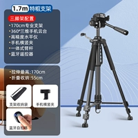 Мобильный телефон, сумка-органайзер, 1.7м, bluetooth