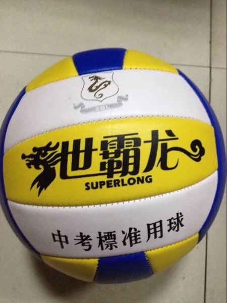 Ballon de volley - Ref 2012252 Image 8