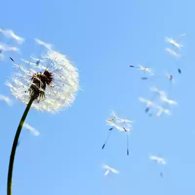 Make up the difference and shoot the corresponding amount according to the amount