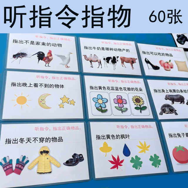 Enlightenment toy instruction auditory focus new product special offer