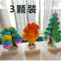 Mini Flowering Magic Christmas Tree Paper Tree Flowering Gift diy2021 Christmas Gift for Children