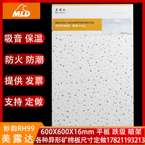 Meloda Mine Cotton Rock RH99 Moisture Audio Panel 600x1200 full Sky 3510 office ceiling board