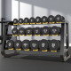 Gym Commercial Dumbbell Rack Home Storage Rack Thickened Carbon Steel American-Style Gym Dumbbell Rack Vertical Double-Layer Dumbbell Rack