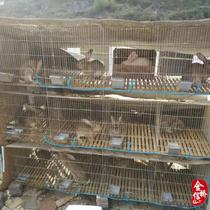 9 12-bit rabbit cage breeding rabbit breeding cage 24-bit commodity breeding cage bold encryption child mother three or four-layer rabbit cage