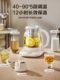 Supor Pure Titanium Health Pot, Multi-Functional Small Office Kettle, Glass Tea Kettle, New Model
