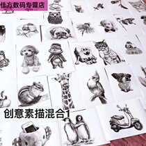 Sketch Copy fan painting card sketch creative topic copy card drawing copy card sketch still life children