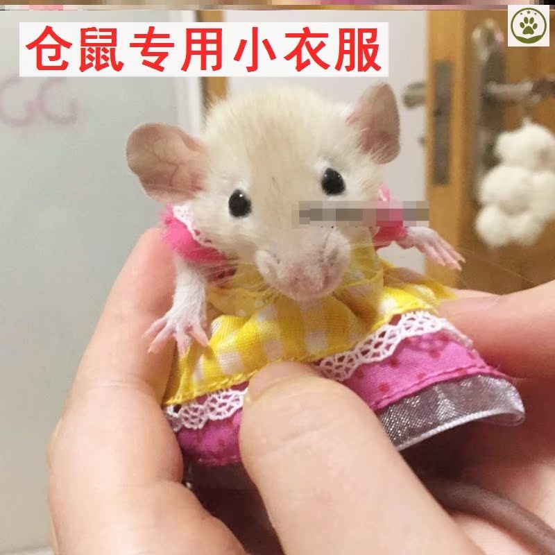 Hamster special small clothes hat autumn winter pets Mini small squirrel small number of clothes Dutch pig warm supplies