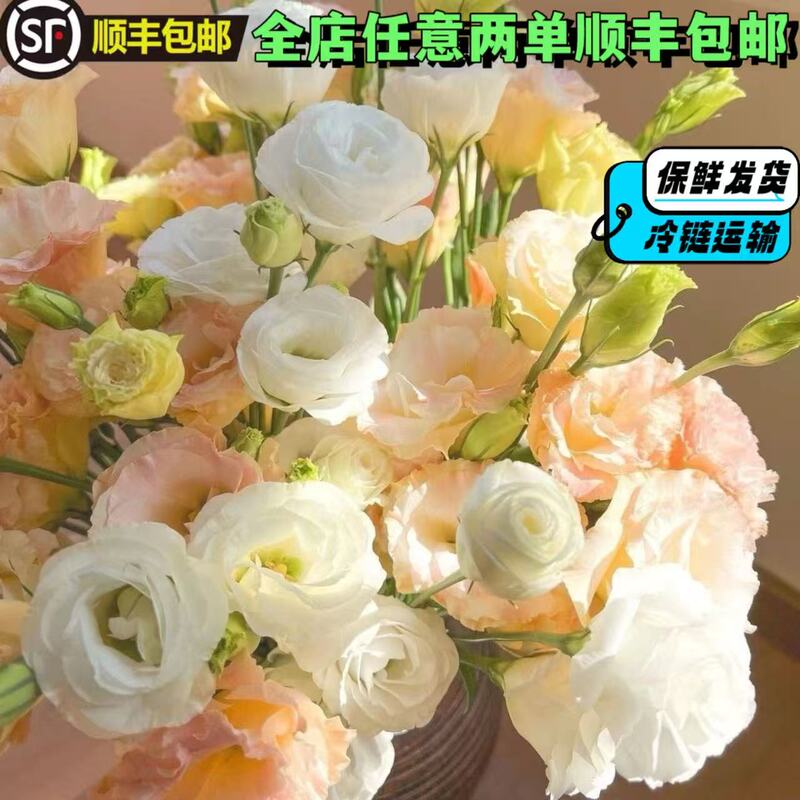 Eustoma Flowers and Gentian Flowers Mixed Bouquet for Indoor Hydroponics, Home-Use New Year Flower Arrangement, Direct Delivery from Yunnan Base Eustoma Flowers and Gentian Flowers Mixed Bouquet for Indoor Hydroponics, Home-Use New Year Flower Arrangement, Direct Delivery from Yunnan Base