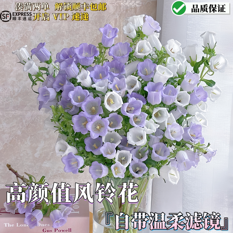 Selected High-Quality Wind Chime Flower Bouquets, Fresh Flowers in Hydroponic Vases, Everyday Vase Arrangements, Healing Flowers, Quality Guaranteed