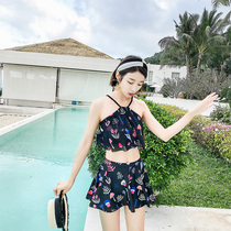 Swimsuit female split skirt-style flat angle display slim and small breasts to woo Korean Elementary Fresh students Soak Spa Swimsuit