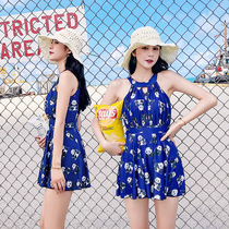 Swimsuit Women Conjoined Flat Corner Skirt-Style Shading With Slim Breasts For South Korean Students Little Fresher Soak Spa Swimsuit