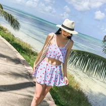 Swimsuit Female Split Skirt Type Flat Corner Small Chest Poly bikini Lean South Korea Bubble Hot Springs Little Fresh Swimsuit