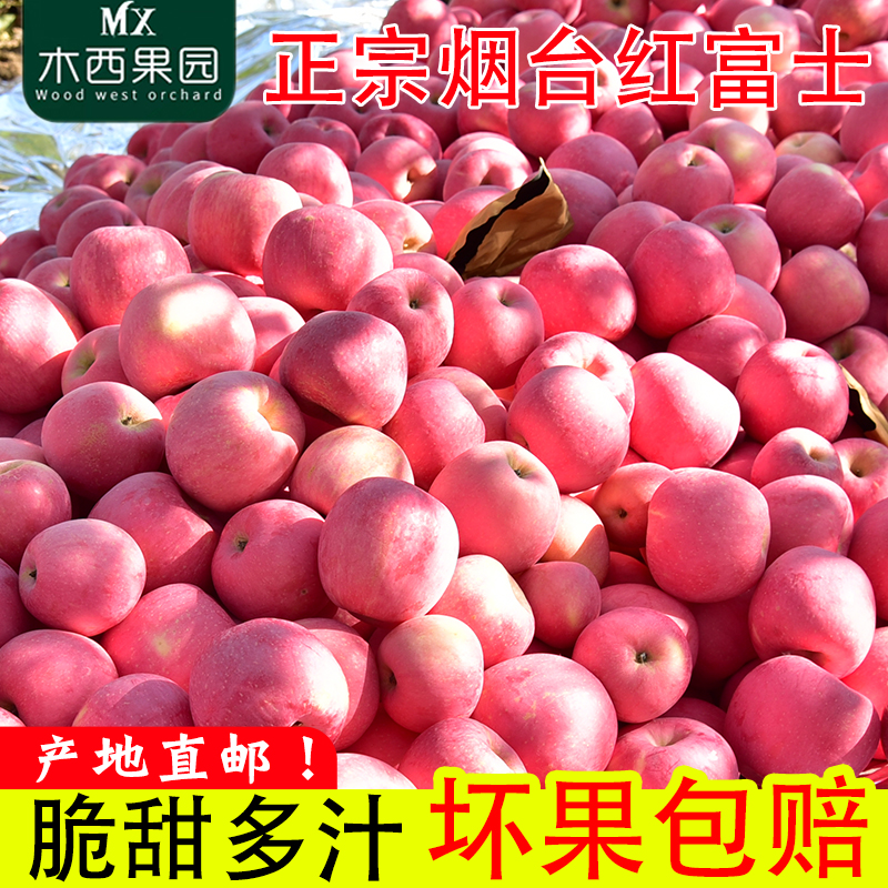 山东烟台红富士苹果5斤 图1