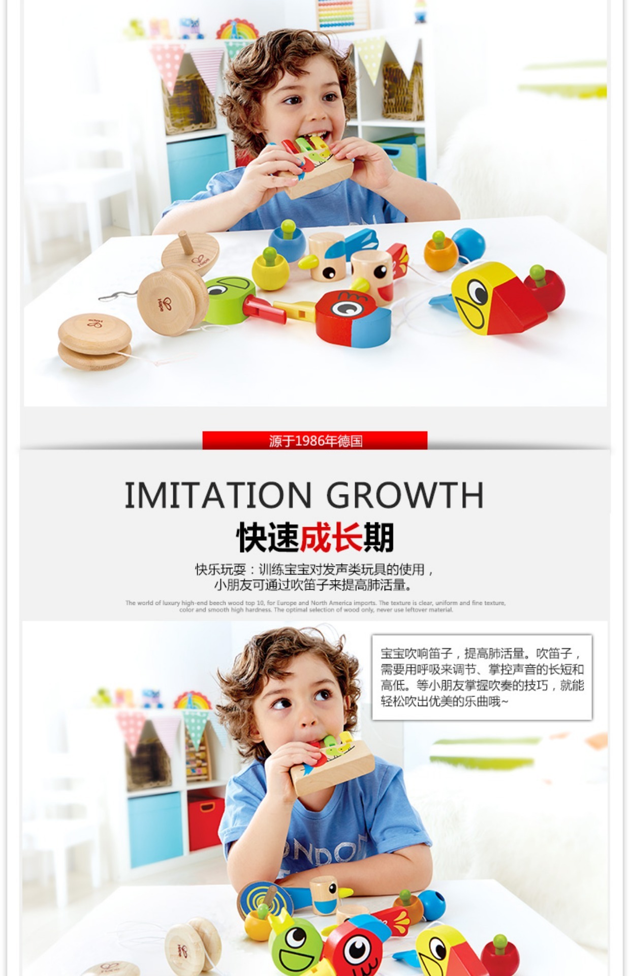 Hape Rainbow Flute Children Flute Whistle Toy Baby Music Chơi Puzzle Dụng cụ bằng gỗ đồ chơi cho bé 2 tuổi