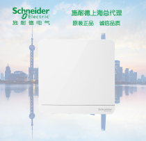  Schneider Yishang mirror porcelain white blank panel White cover plate Cassette bezel cover plate Yishang white plate