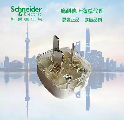 Schneider switch socket 10A plug three-pole flat pin transparent plug Qisheng industrial plug EP10