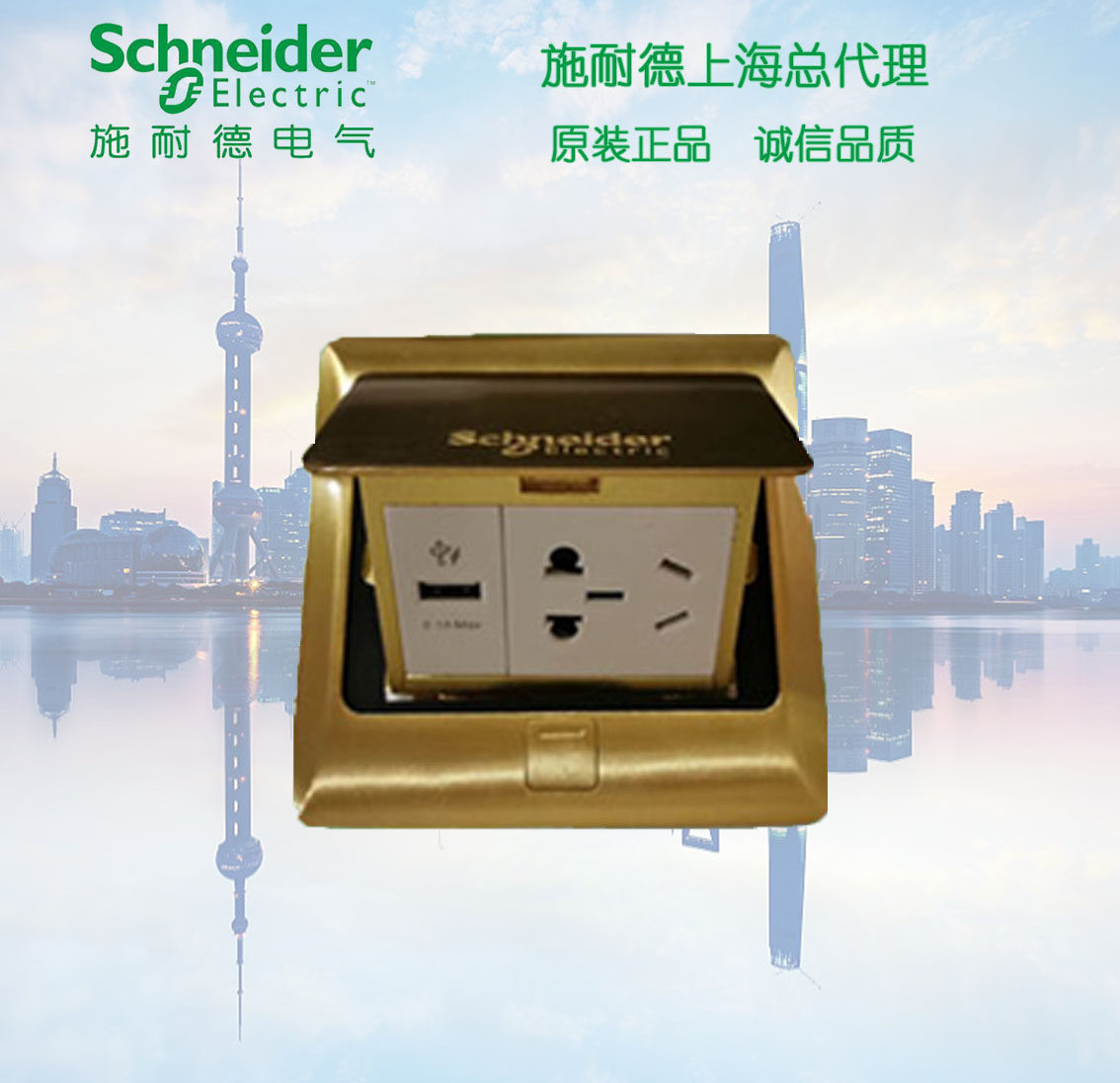Original Schneider pop-up 10A small two-pole power supply ground plug + USB (copper glossy) bottomless box