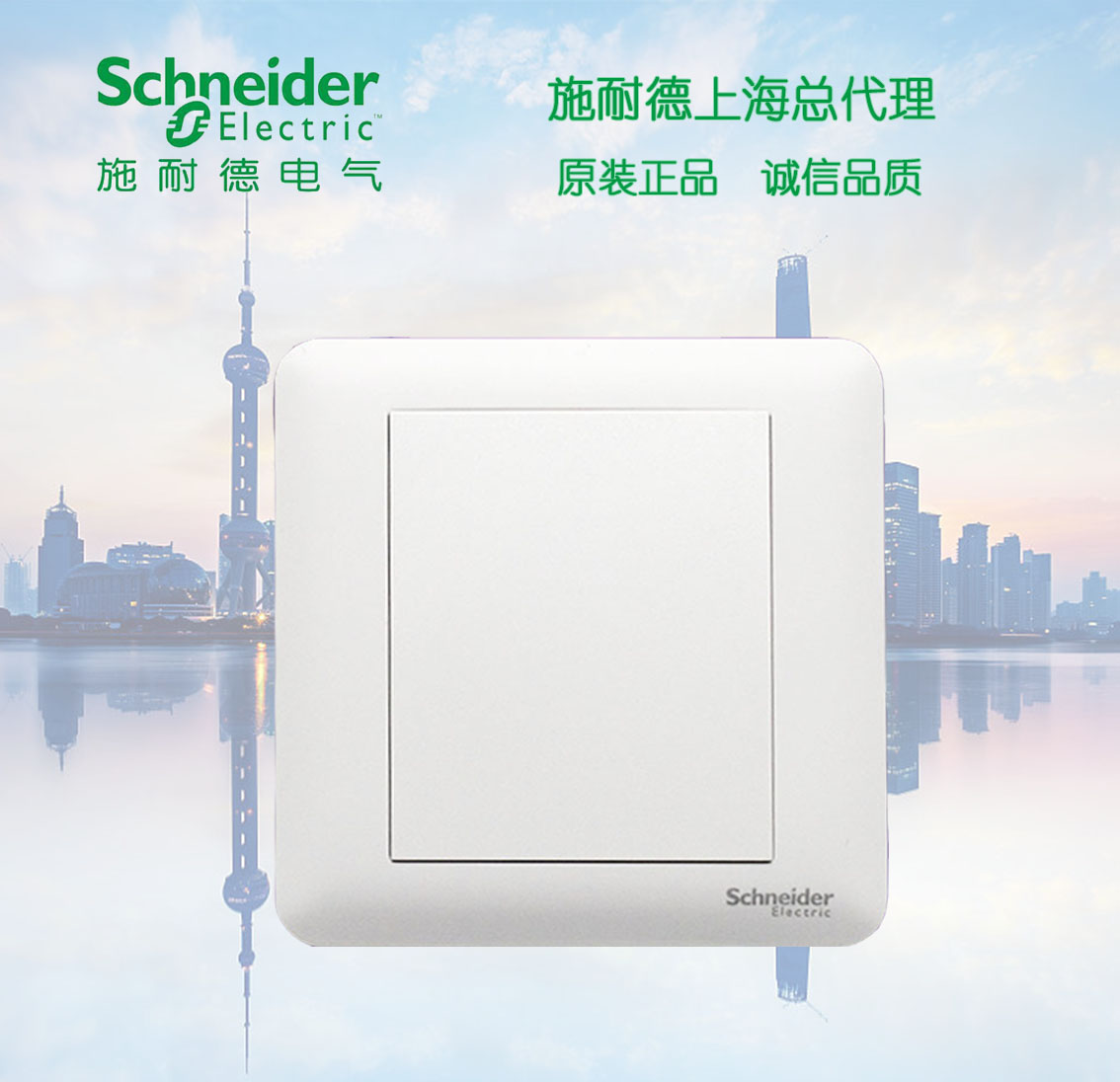 Schneider switch socket brisk series blank panel white cover white panel smooth white panel-Taobao