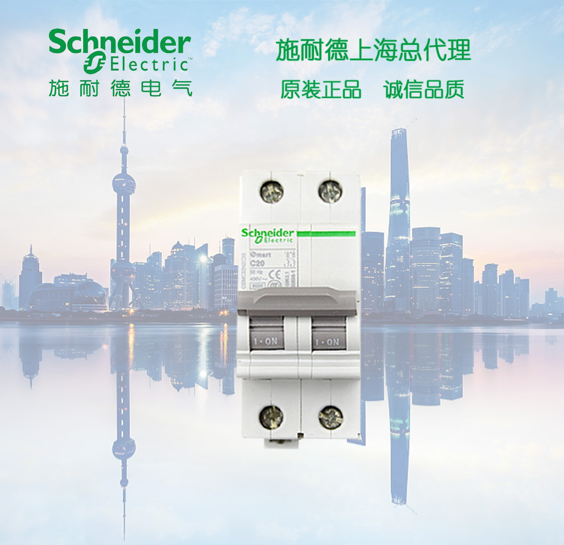 Schneider Osmart Small Circuit Breaker OSMC32N2C16 2P C16A