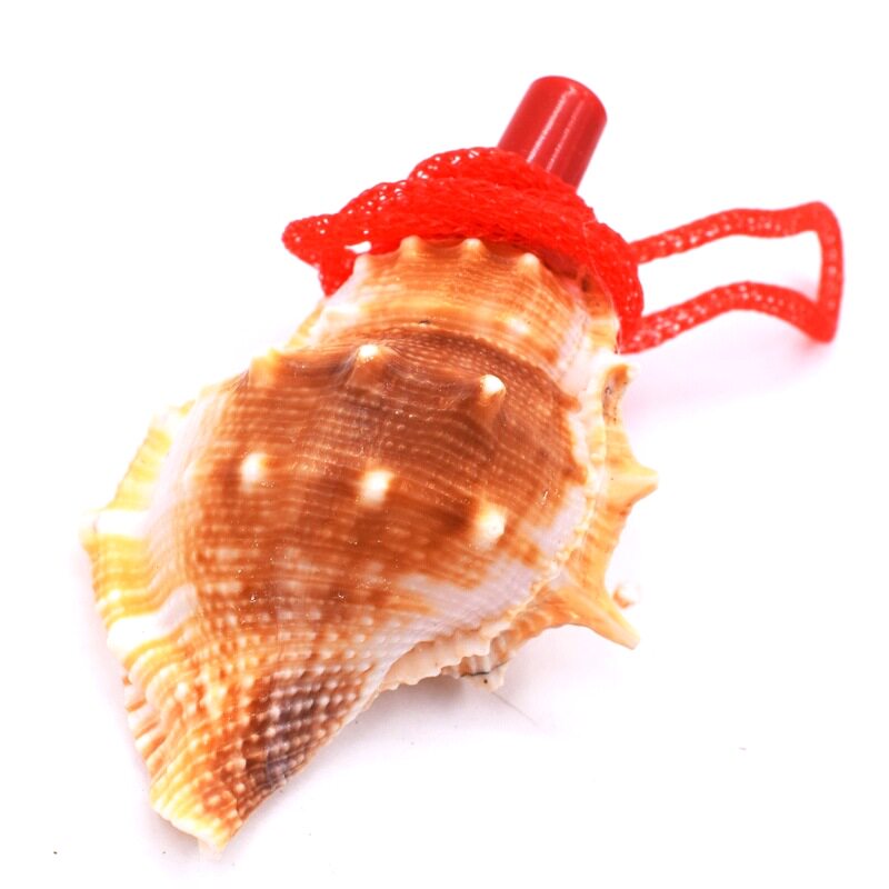Conch маленький динамик