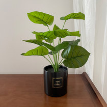 Nordic Emulation Plant Pendulum fake green plant Bonsai Office Interior Decoration Home Living Room Tortoise Back Leaves Small Potted Plant