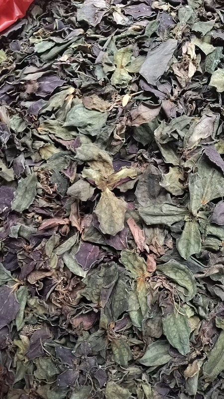 Dried Chinese Medicinal Herb, Whole Double Butterfly, Lung-Shaped Grass Flower Butterfly