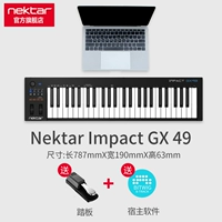 GX49+педаль+подлинное программное обеспечение Bitwig