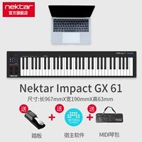 GX61+педаль+подлинное программное обеспечение Bitwig+Piano Sage