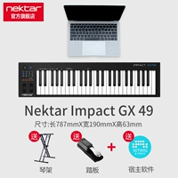 GX49+Pedal+Rack+Подлинное программное обеспечение Bitwig