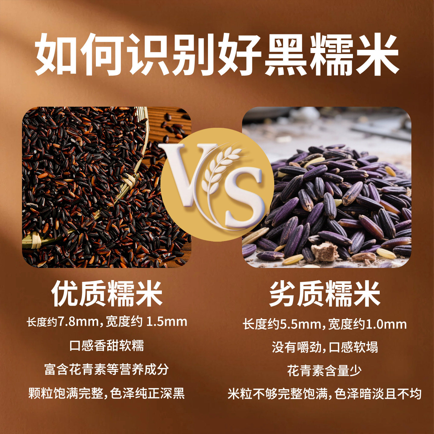 爆火全网!泰皇泰国进口糯米500g紫米黑糯米25kg居然能这么好吃?糯到心尖尖上啦!🍚 -糯米-淘宝好物网