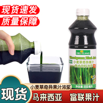  Imported Fulian wheat grass kiwi fruit juice concentrated compound drink Thick pulp milk tea brewed juice drink 850ml