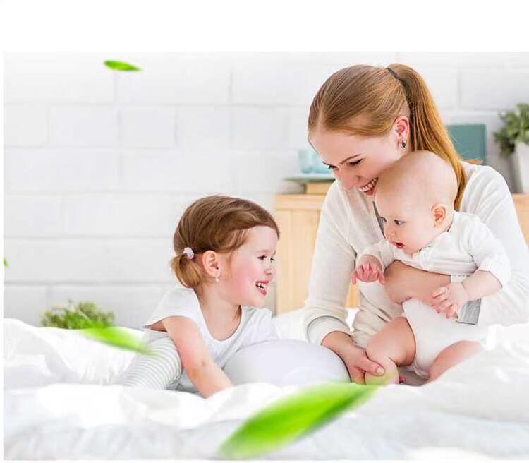 Để cào cào đồ vật ngoài mạt phun mạt giường miễn phí trừ mạt giường khử trùng chó - Thuốc diệt côn trùng chai xịt ruồi