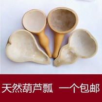  Gourd scoop water scoop noodles water scoop gourd skin gourd scoop water scoop household old-fashioned noodle scoop kitchen use