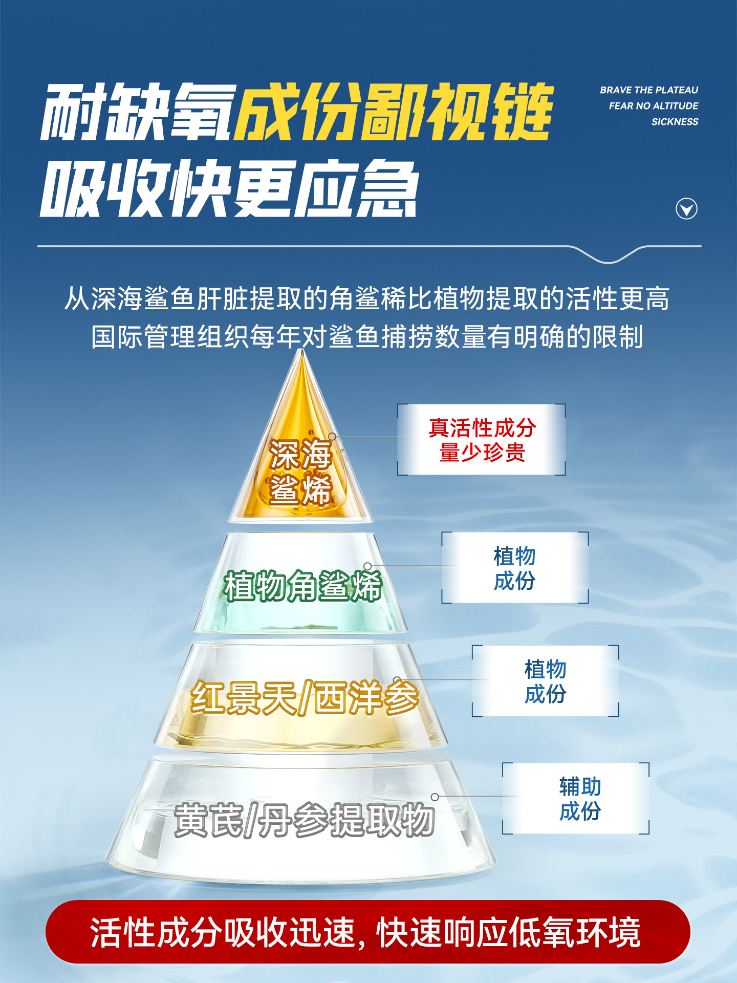 Comex Squalene Soft Capsules, the Same Product as Those Sold in Pharmacies for Altitude Sickness, Not Rhodiola Officinalis, Official Flagship Store