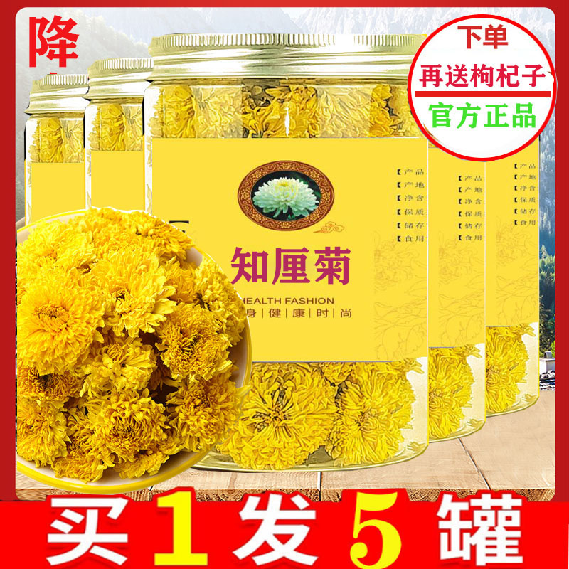 Governor Chrysanthemum Flowers Tea Chrysanthemum Tea Henan Jiaozuo Official Chrysanthemum Official Flagship Store of Wild Knowli Flowers