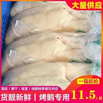 Замороженный белый гусь мясо замороженное гусь коммерческое использование Goose Fresh Quick -Frozen Goose Roast Goase Guangdong жареный гусь посвящен большим гуся
