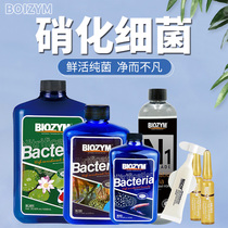 Baine fish tank fish medicine high concentration nitrifying bacteria koi pond water purifiers longfish freshwater General