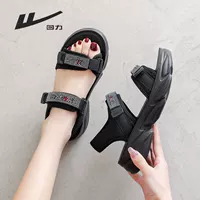 1189L Черное блестящее яркое дно